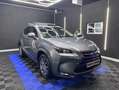 Lexus NX 300 300h Corporate 2WD + Navibox Grau - thumbnail 1