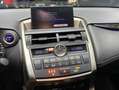 Lexus NX 300 300h Corporate 2WD + Navibox Grau - thumbnail 4