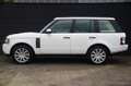 Land Rover Range Rover 4.4 TDV8 HSE | Zeer goed onderhouden | Schuifdak | Bianco - thumbnail 5
