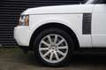 Land Rover Range Rover 4.4 TDV8 HSE | Zeer goed onderhouden | Schuifdak | Bianco - thumbnail 9