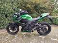 Kawasaki Z 300 ABS 2015 Groen - thumbnail 16