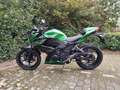 Kawasaki Z 300 ABS 2015 Groen - thumbnail 1