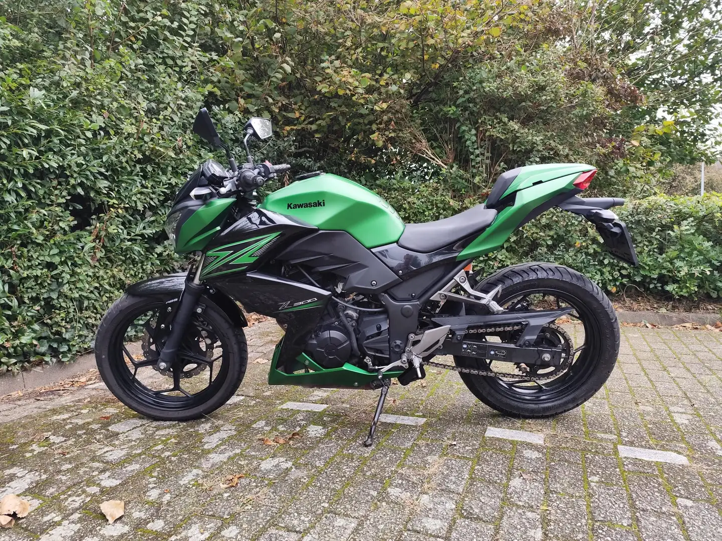 Kawasaki Z 300 ABS 2015 Groen - 1