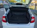 Skoda Rapid/Spaceback Rapid Rapid 1.2 TSI Ambition Weiß - thumbnail 19