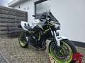 Kawasaki Z 650 Akrapovic Sportuitlaat - 2021 - Topconditie* Blanc - thumbnail 2