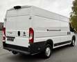 Fiat Ducato 180 Power L5H2Ducato Maxi Grossr.*NAVI*KLIMA*KAM Wit - thumbnail 5