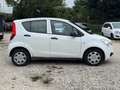 Opel Agila KEIN TÜV*KEINE KLIMA*VOLL FAHRBEREIT! Weiß - thumbnail 9