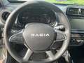Dacia Spring 65 Grau - thumbnail 10