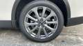 Mazda CX-60 2025 3.3 e-SKYACTIV MHEV 200CV 8AT RWD EXCLUSIVE L Blanco - thumbnail 10