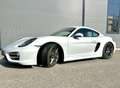 Porsche Cayman 2,7 DSG - thumbnail 8