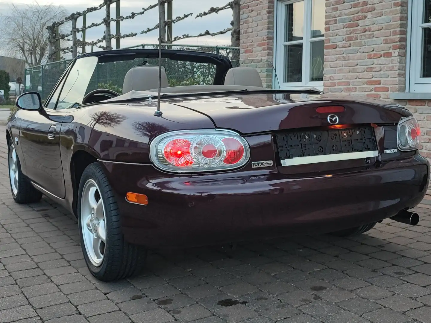 Mazda MX-5 MX-5+1.6i+16V Rojo - 1