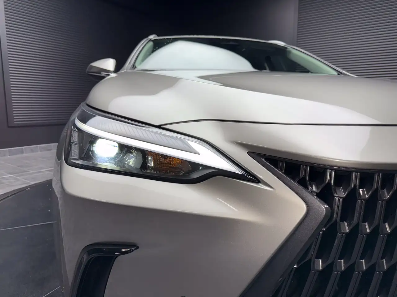 Lexus NX photo Lexus NX