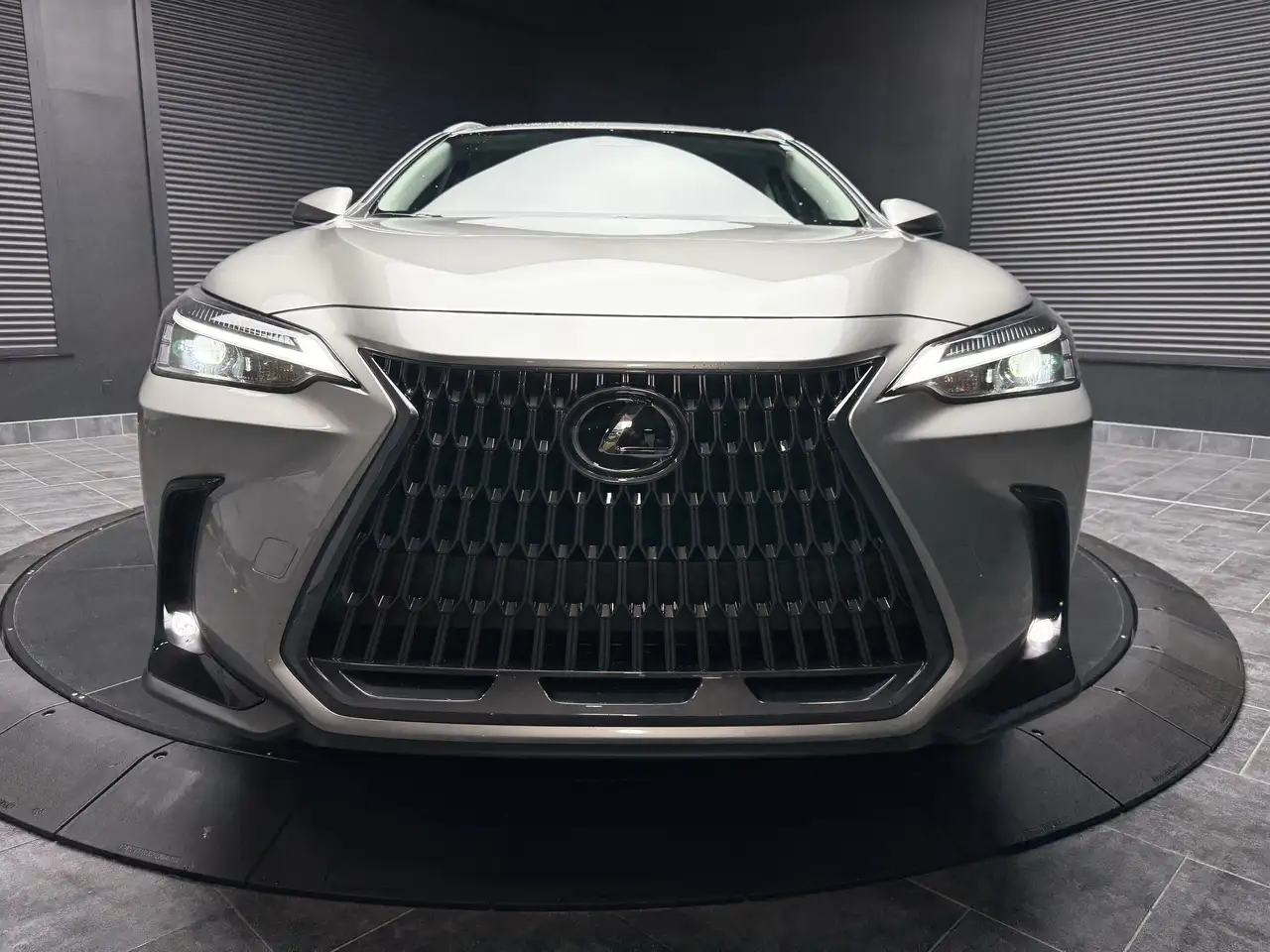 Lexus NX photo Lexus NX