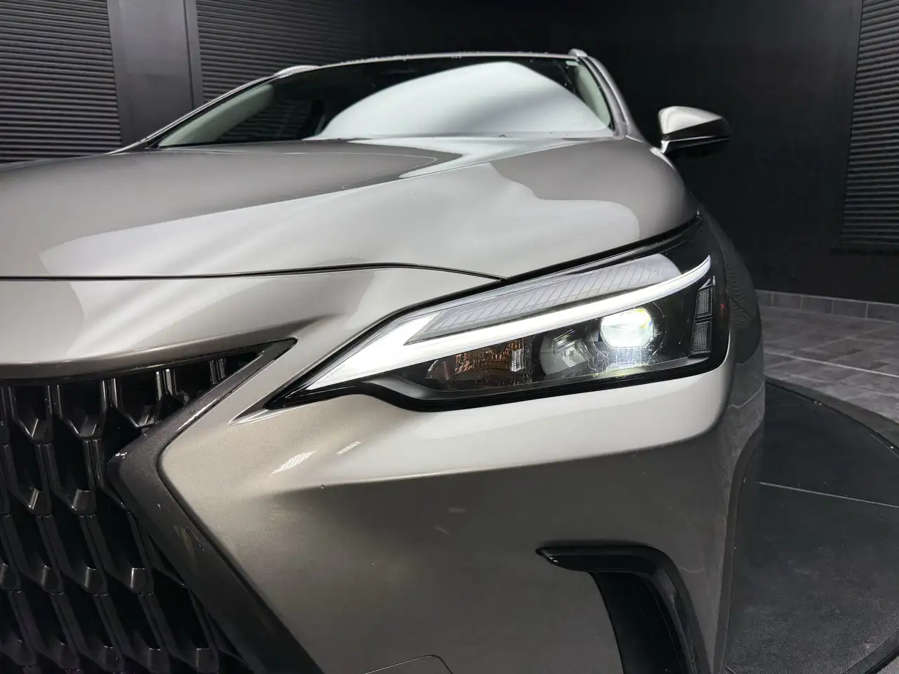 Lexus NX photo Lexus NX