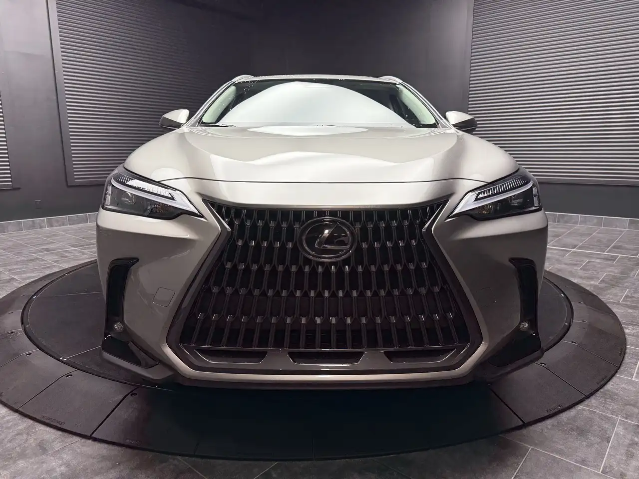 Lexus NX photo Lexus NX