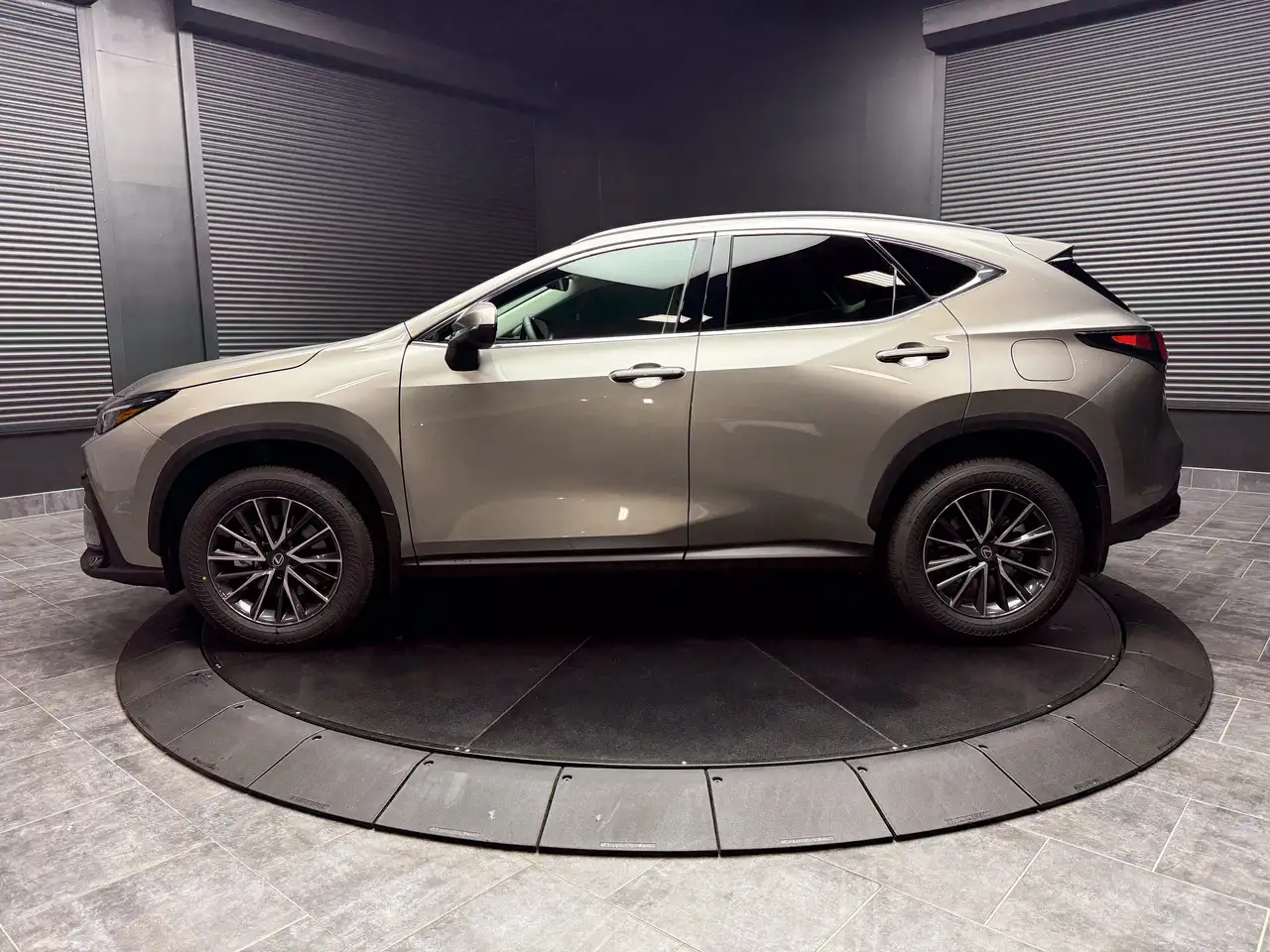 Lexus NX photo Lexus NX