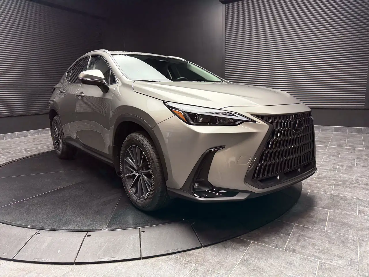 Lexus NX photo Lexus NX