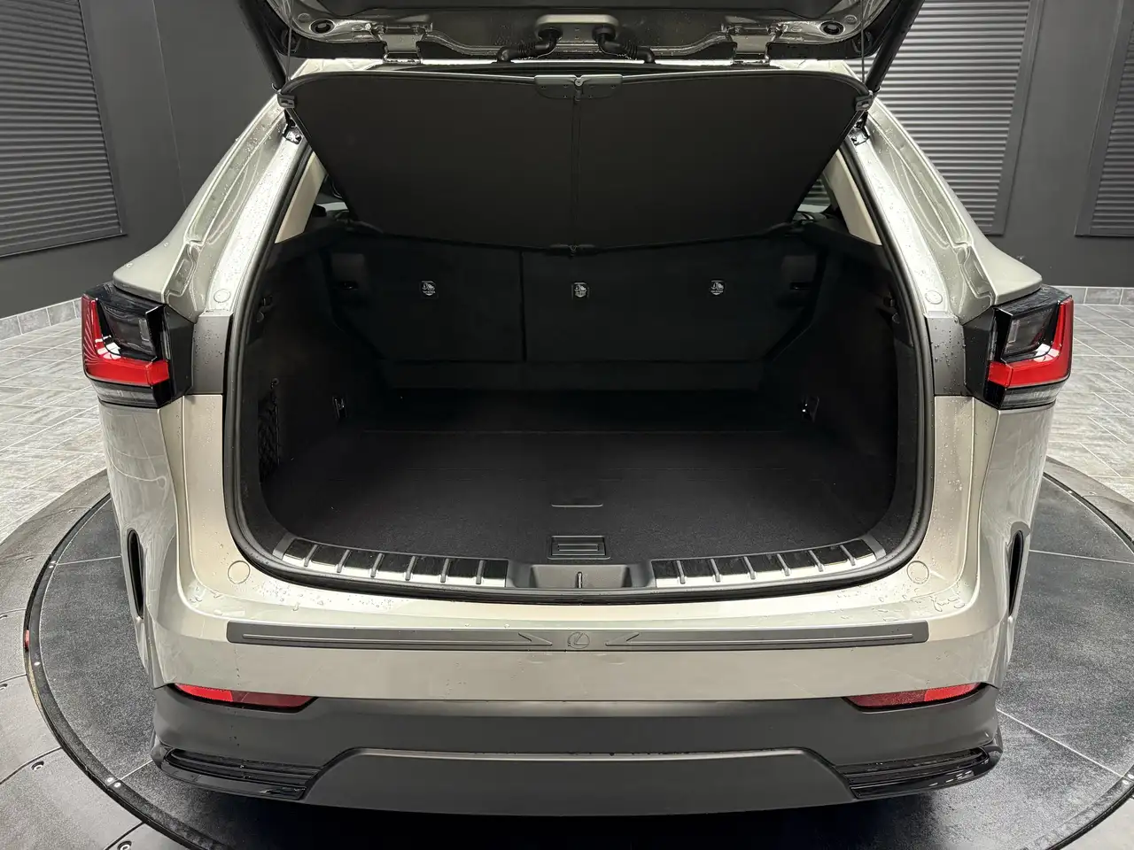 Lexus NX photo Lexus NX