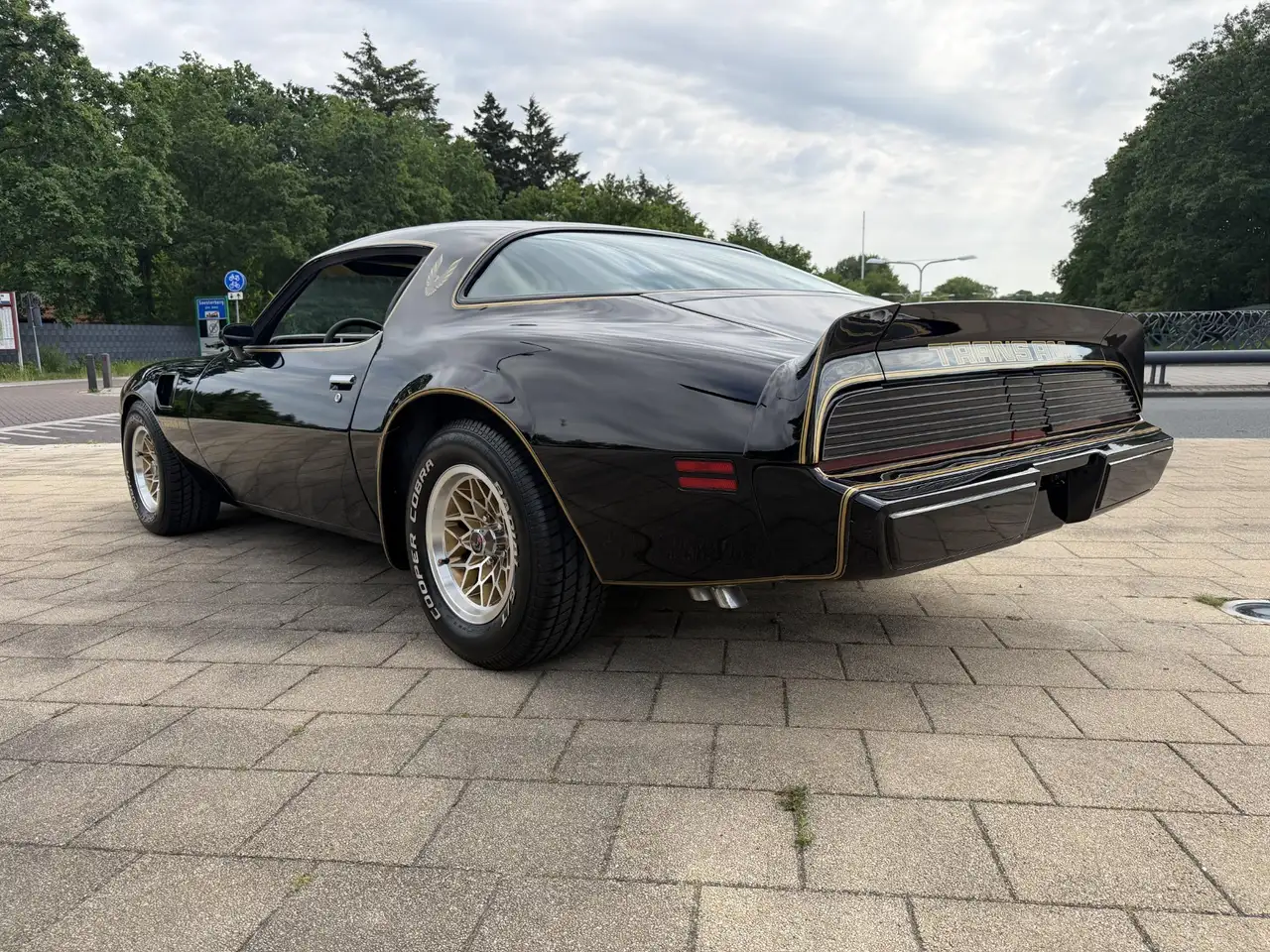 Pontiac Firebird 6.6 FW 87 Trans Am, foto 5