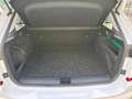 Skoda Kamiq Kamiq 1.0 g-tec Ambition 90cv PERFETTA Blanco - thumbnail 17