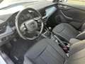 Skoda Kamiq Kamiq 1.0 g-tec Ambition 90cv PERFETTA Bianco - thumbnail 6
