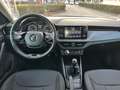 Skoda Kamiq Kamiq 1.0 g-tec Ambition 90cv PERFETTA Bianco - thumbnail 5