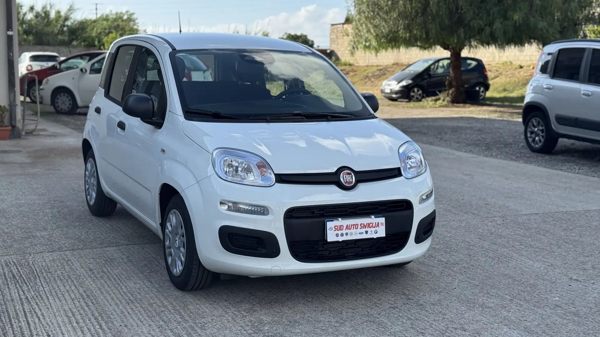 Fiat Panda 1.0 firefly hybrid s&s 70cv - 2