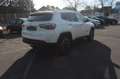 Jeep Compass Limited 4WD Weiß - thumbnail 7