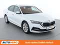 Skoda Octavia 2.0 TDI Business Weiß - thumbnail 8