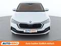 Skoda Octavia 2.0 TDI Business Weiß - thumbnail 9