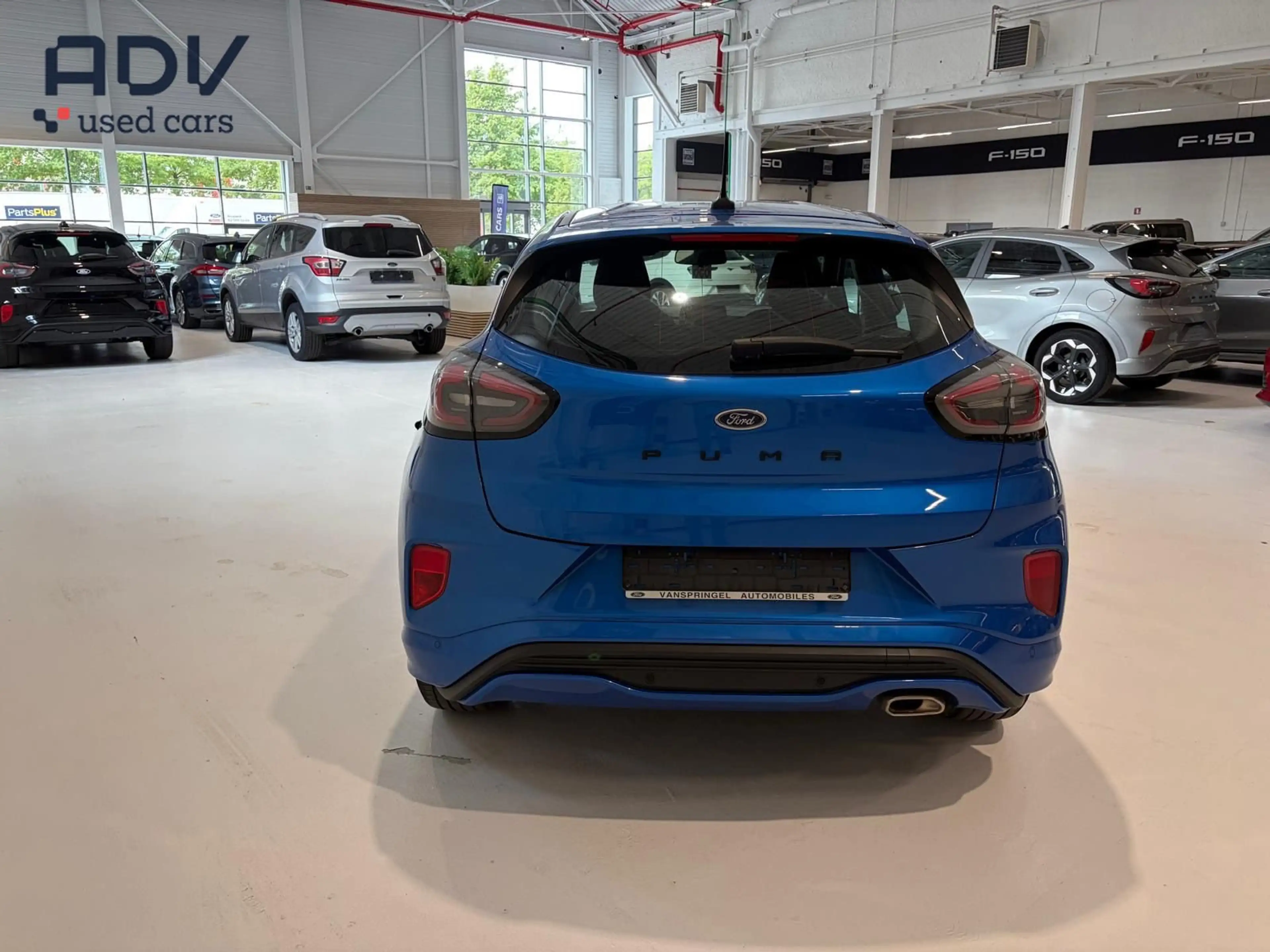Ford Puma ST-Line - Carplay/Android Auto - Winter Pack!! — photo 4