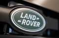 Land Rover Defender DEFENDER 110 X-DYNAMIC HSE D300 Braun - thumbnail 4