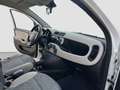 Fiat Panda Panda 0.9 TwinAir Turbo GPL 4x4 Wit - thumbnail 11
