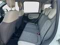 Fiat Panda Panda 0.9 TwinAir Turbo GPL 4x4 Wit - thumbnail 13