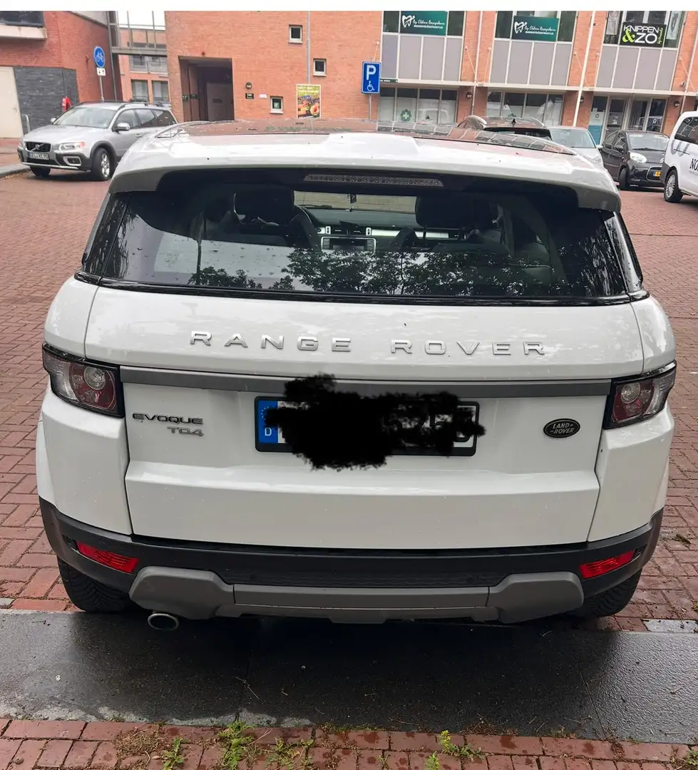 Land Rover Range Rover Evoque TD4 Aut. Dynamic - 2