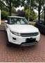Land Rover Range Rover Evoque TD4 Aut. Dynamic - thumbnail 1