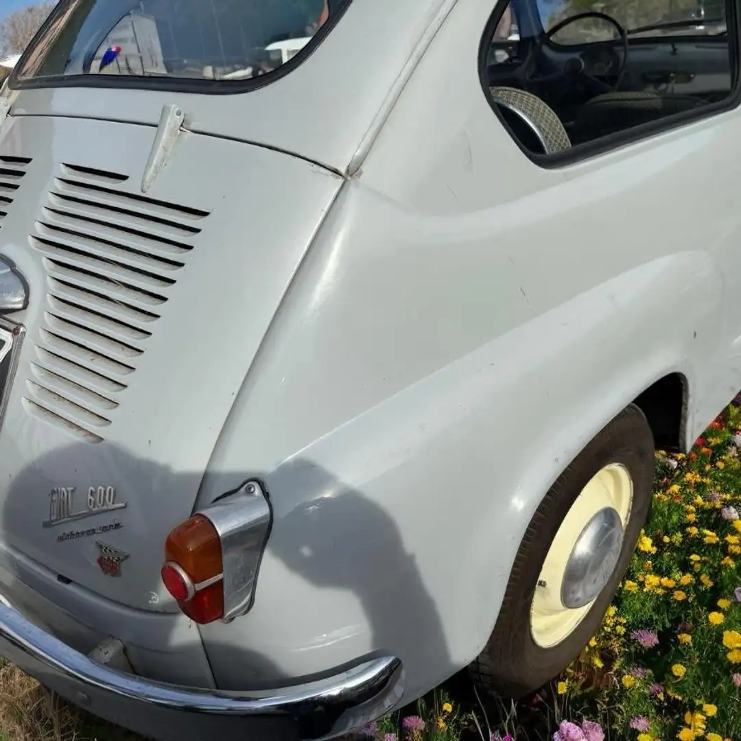 Fiat 600 Grigio - 2