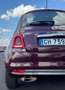 Fiat 500 1.2 Collezione 69cv c/sensori parcheggio - thumbnail 3
