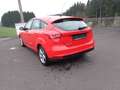 Ford Focus 1,0 EcoBoost Titanium 100PS Navi PPhi Standhz Rosso - thumbnail 4