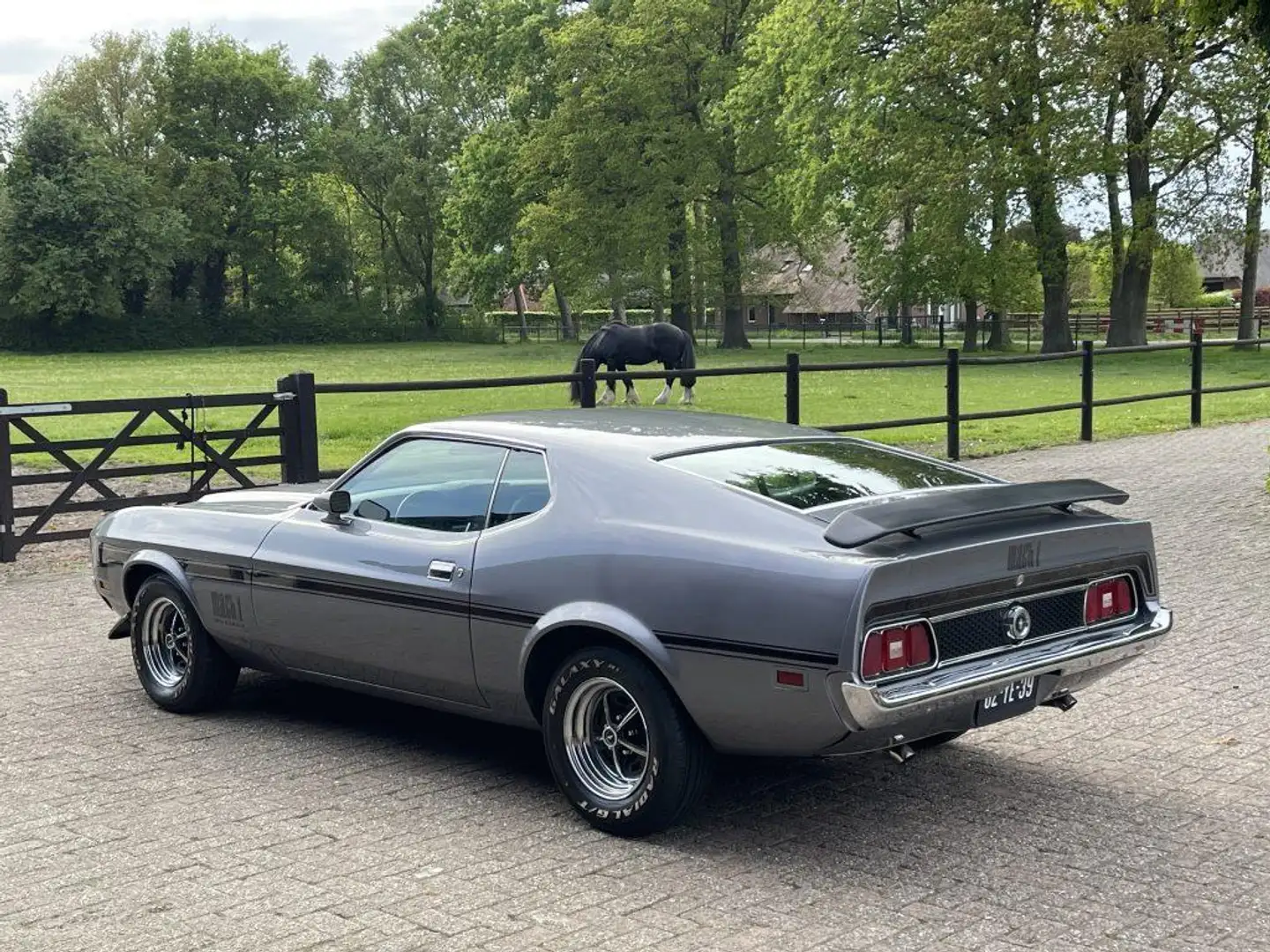 Ford Mustang Fastback Mach 1 351 V8 Gri - 2