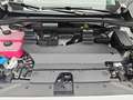 MG MG4 MG4 EV 49 KWH MY24 STANDARD Weiß - thumbnail 16