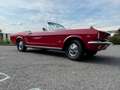 Ford Mustang Cabrio / Ponyausstattung Rouge - thumbnail 13