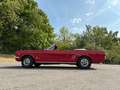 Ford Mustang Cabrio / Ponyausstattung Rouge - thumbnail 1