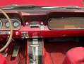 Ford Mustang Cabrio / Ponyausstattung Rouge - thumbnail 39