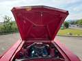 Ford Mustang Cabrio / Ponyausstattung Rouge - thumbnail 28