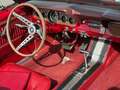Ford Mustang Cabrio / Ponyausstattung Rouge - thumbnail 7