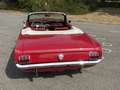 Ford Mustang Cabrio / Ponyausstattung Rouge - thumbnail 3