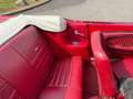 Ford Mustang Cabrio / Ponyausstattung Rot - thumbnail 10