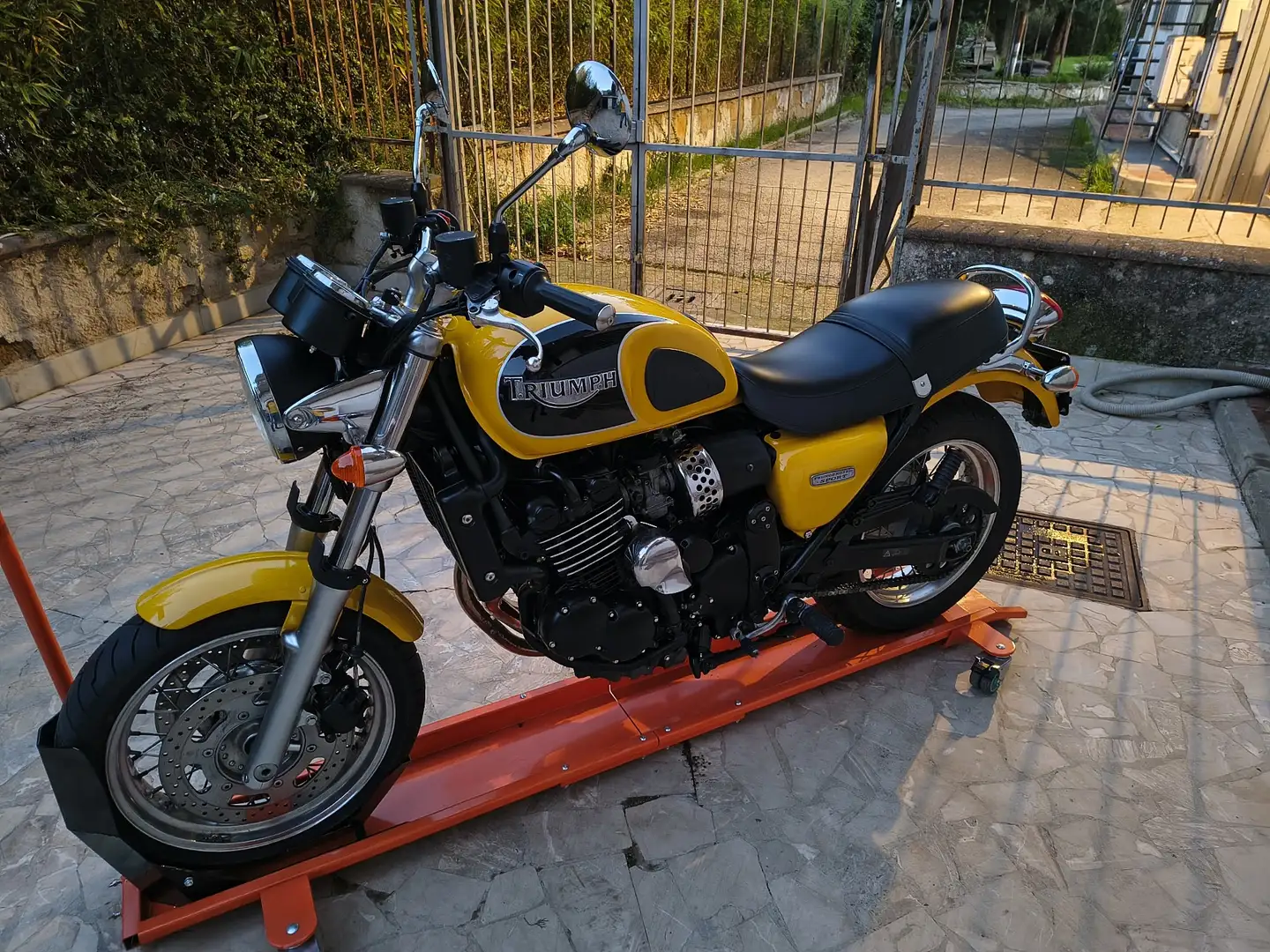 Triumph Thunderbird Sport Żółty - 2