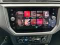 SEAT Ibiza V 1.0 TSI 95cv STYLE BUSINESS Grau - thumbnail 23